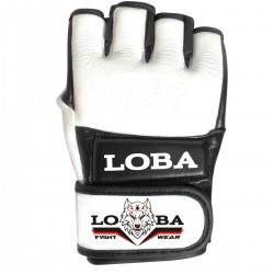 MMA Gloves