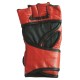 MMA Gloves