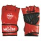 MMA Gloves