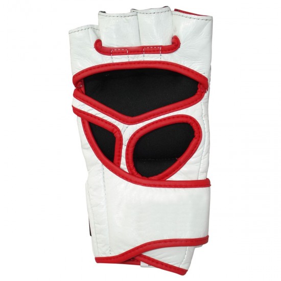 MMA Gloves